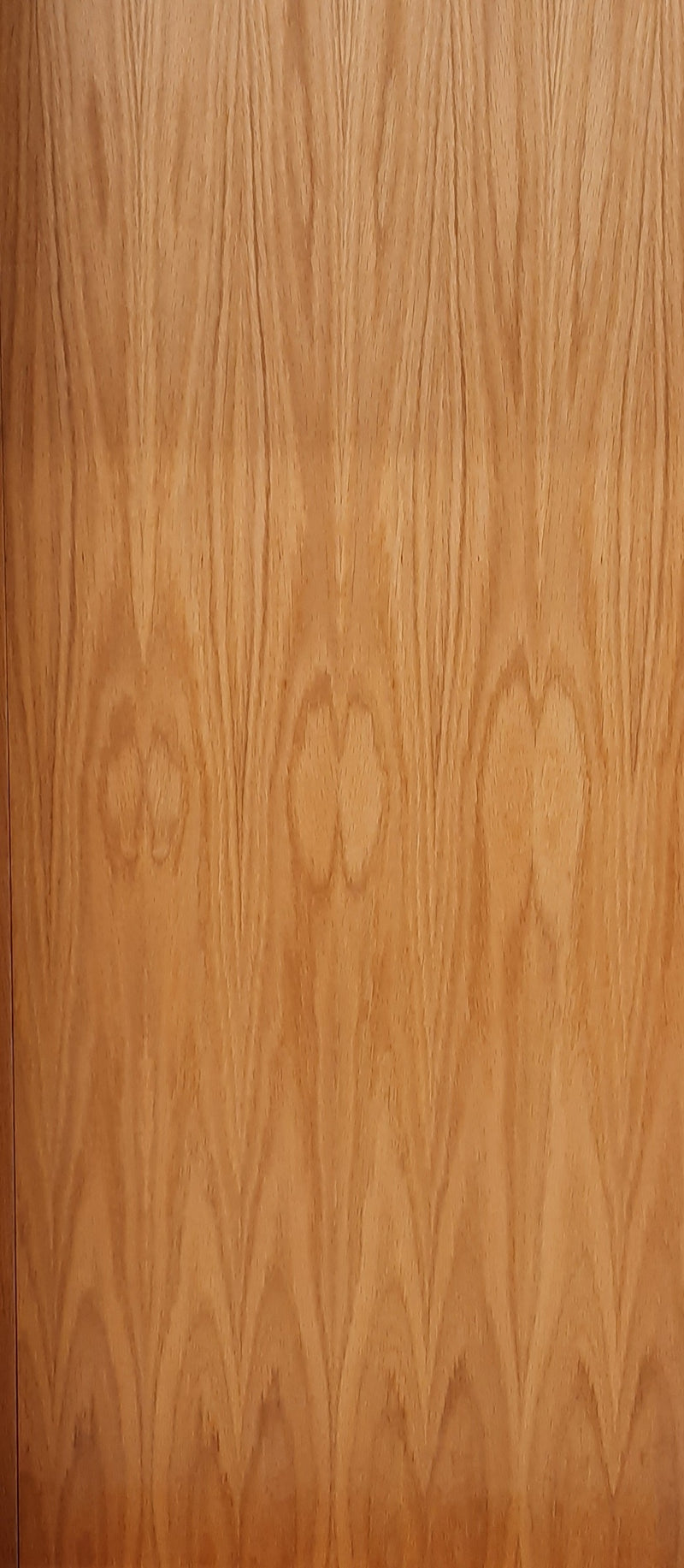 Pattern 10 Oak Internal Door with Obscure Glass X