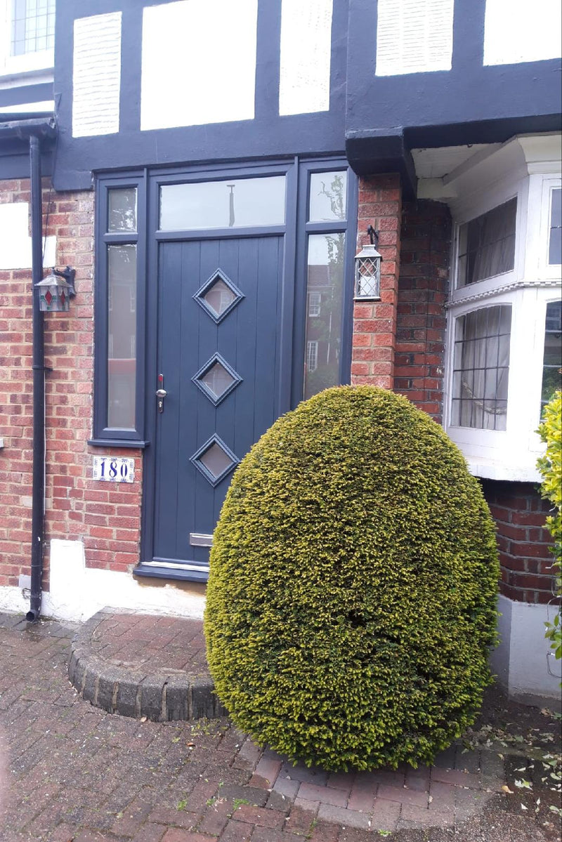 Roma Bespoke door & frame with frosted glass 