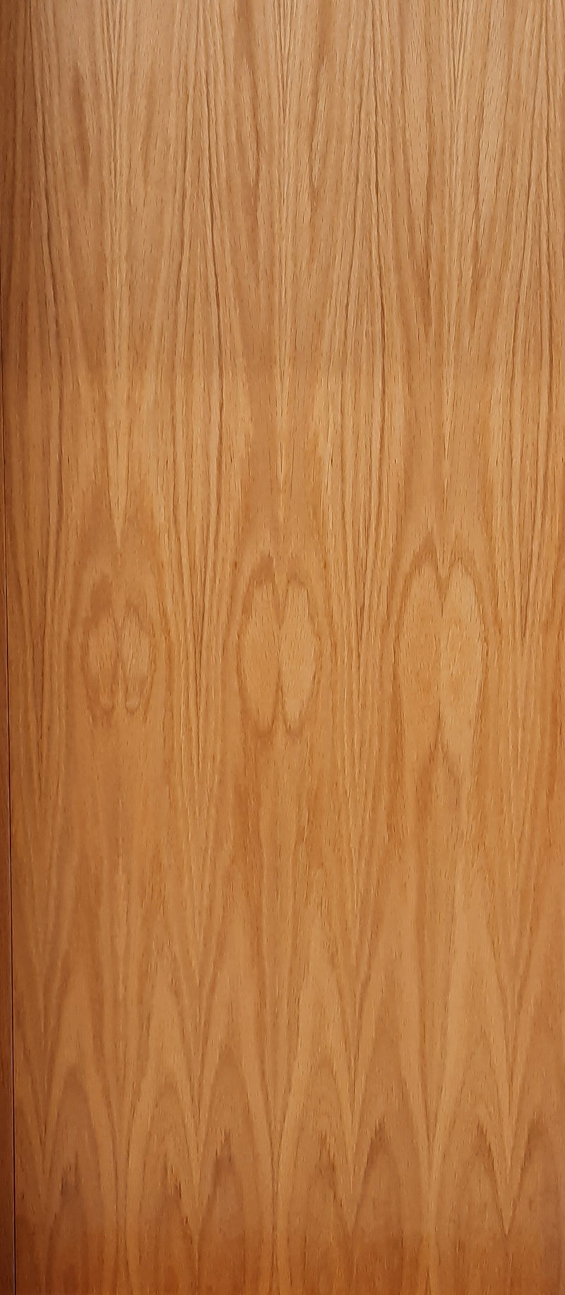 Shaker Oak 4 Light Fire door With Clear Glass X