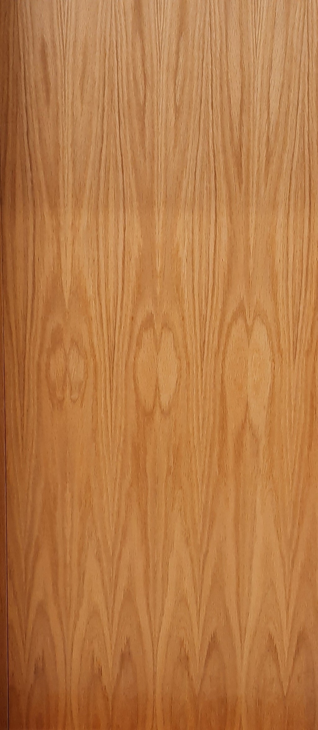 Oak Flush Prefinished internal door